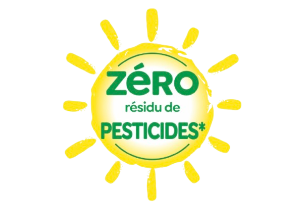 ZRP Logo